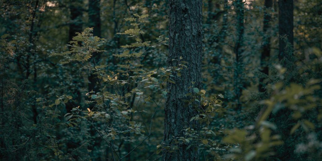 Dobry reset w naturze